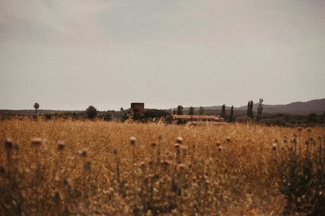 בית הארחה פרטלדה 	Mas Valoria